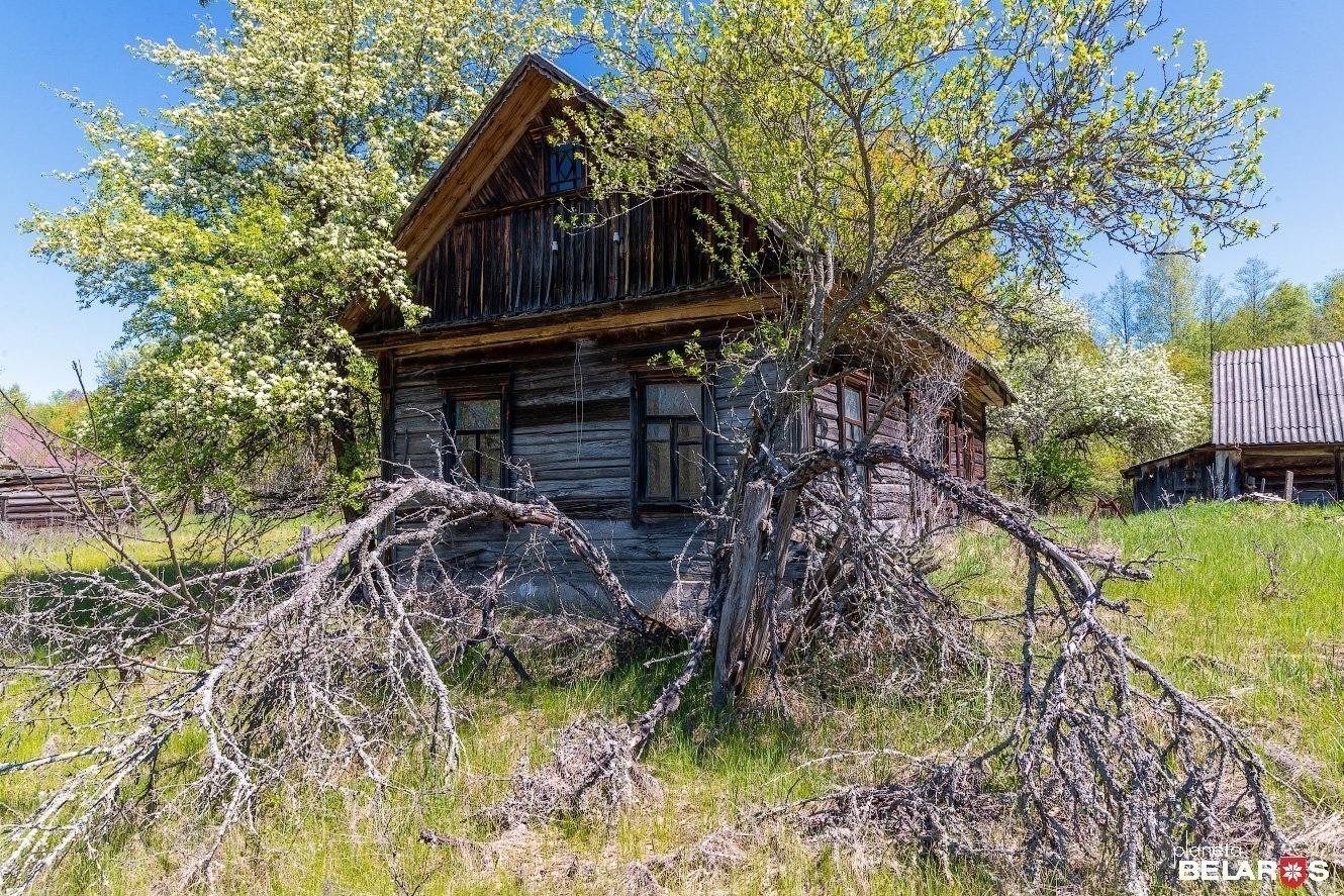 Полесский радиационно экологический заповедник фото