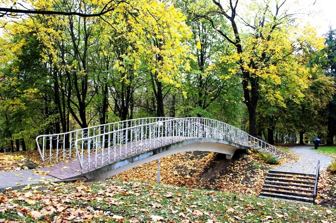 Городской парк в ельце фото