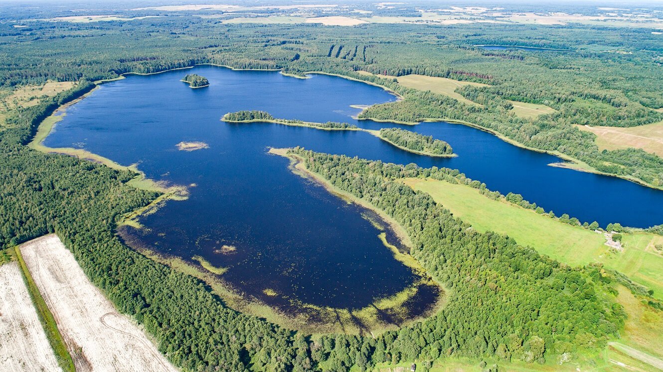 Озера группа. Кривое (озеро, Витебская область). Озеро Отолово Ушачского района. Ушачи Лесные озёра. Озеро большое Ушачский район.