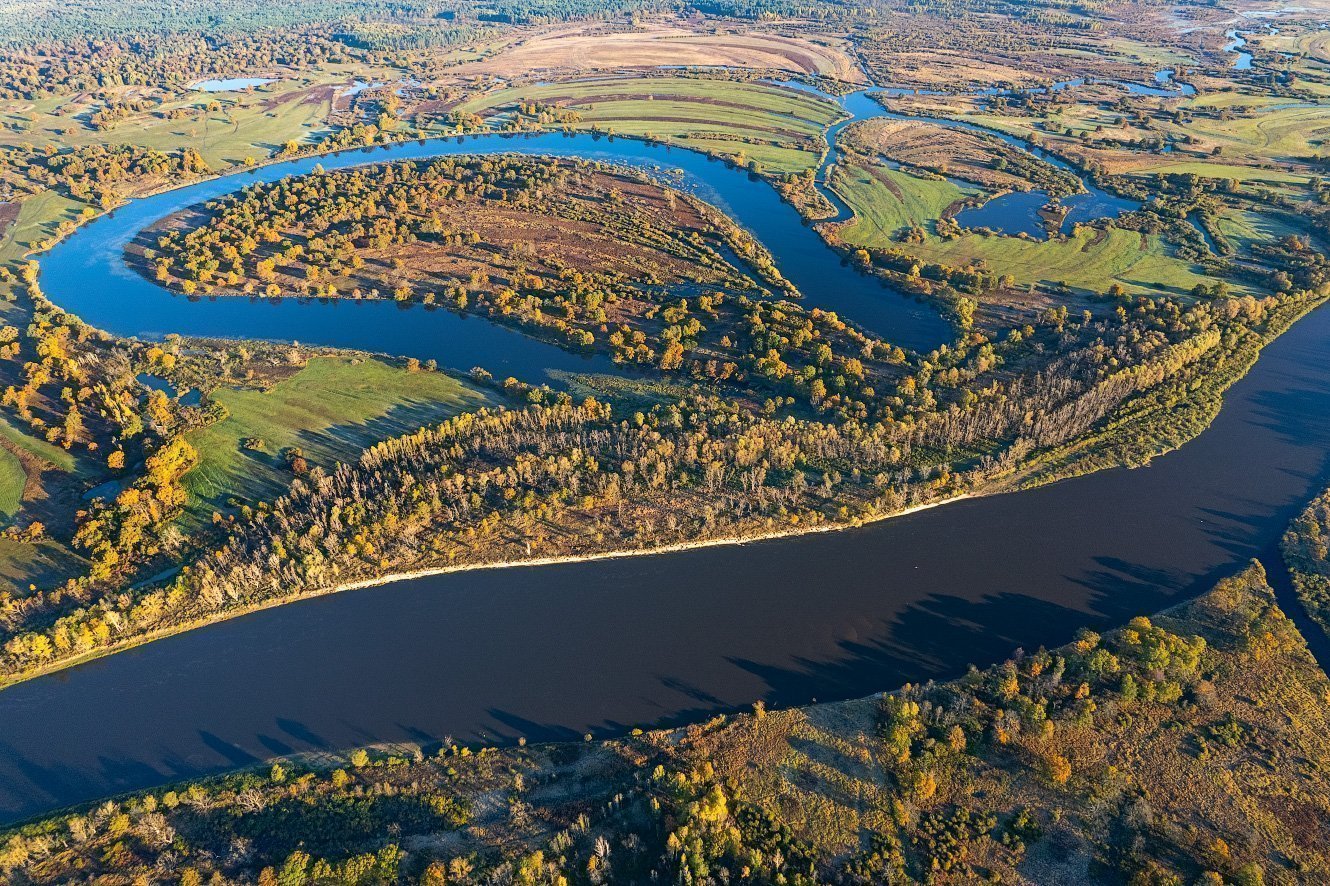 Припятский национальный парк фото