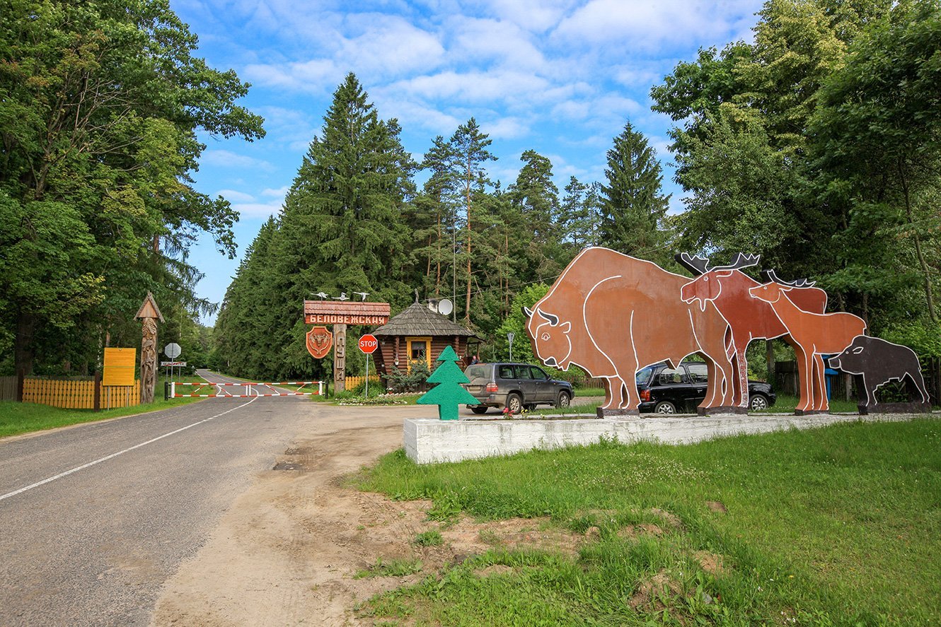 Беловежская пуща в белоруссии