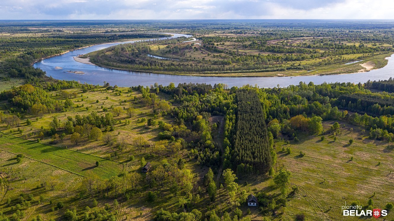 Полесский радиационно экологический заповедник фото