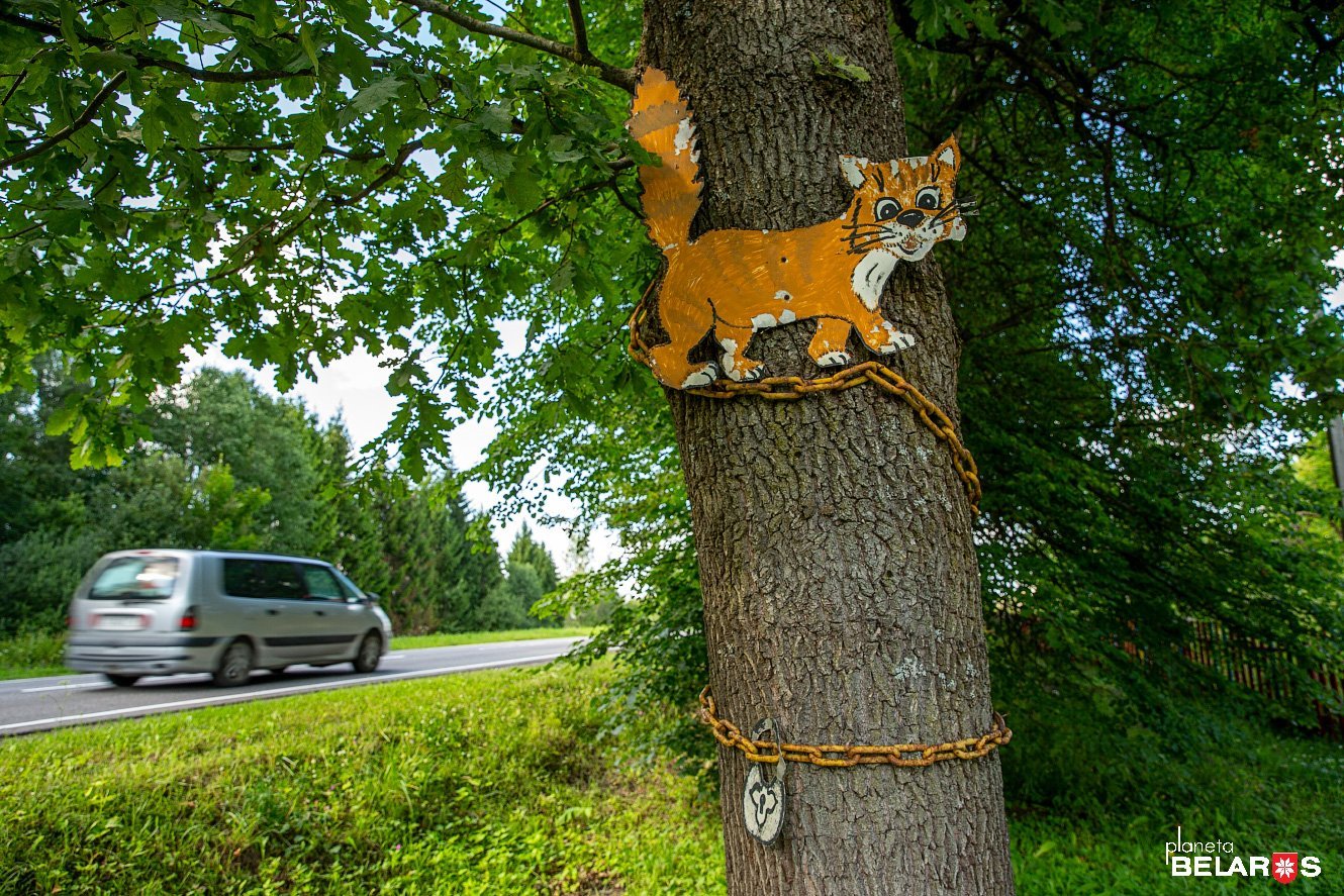 Кот на дубе. Дуб с котиками. Кот ученый вокруг дуба. Дуб в Верхнем парке Липецка кот ученый. Небесный дуб коты.