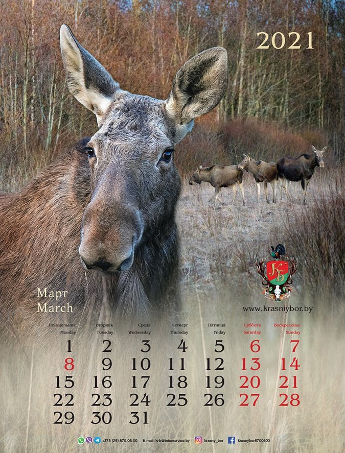 Славянский календарь 2024 темный лось. Календарь с лосем. Календарь моя Планета. Календарь пейзажи планеты 2020. Самый сложный календарь.