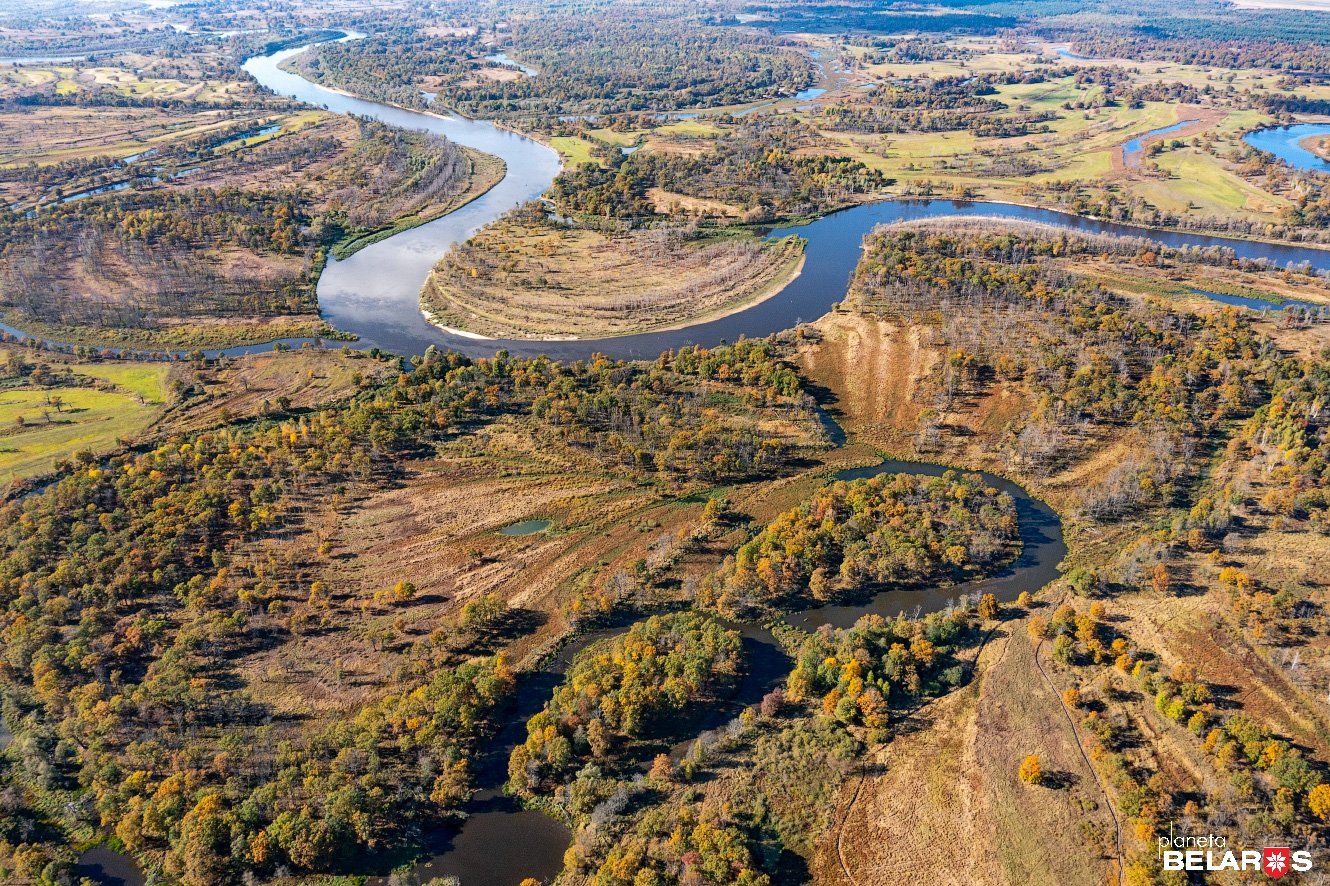 Припятский национальный парк фото