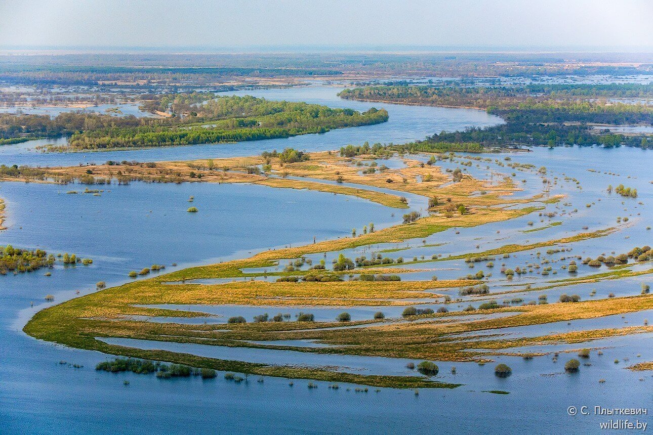 Река Припять - 75 фото
