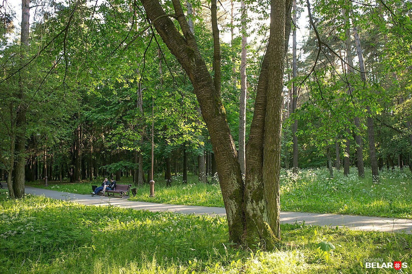 Парк челюскинцев минск фото