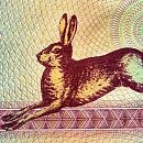 Эволюция «зайчика»: как выглядели деньги, которыми пользовались белорусы